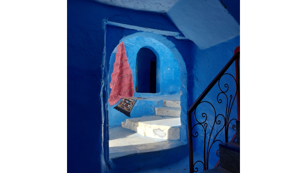 Premios del concurso de fotografía